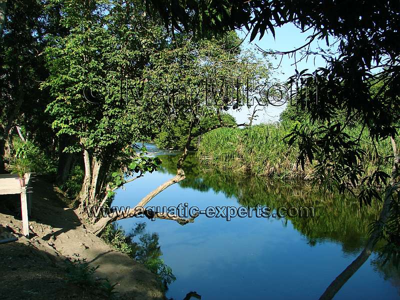 RIO NEVERI